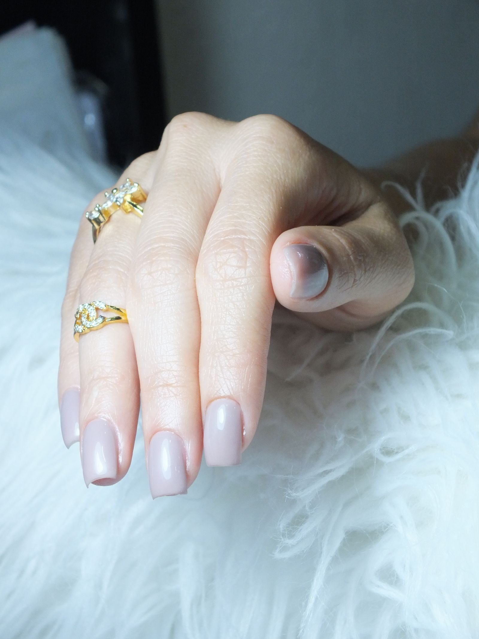 A manicured hand with gold rings on white fur